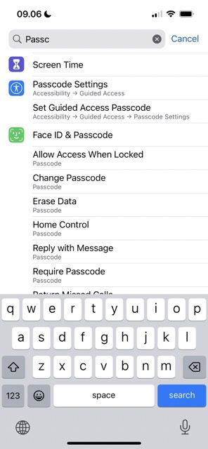 Снимок экрана, показывающий, как найти опцию пароля на iOS