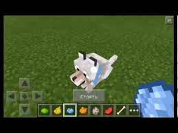 Как сделать ошейник для собаки в Minecraft PE?