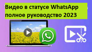 Видео в статусе WhatsApp полное руководство 2023